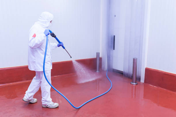 Best Gutter Cleaning and Brightening in Graysville, TN